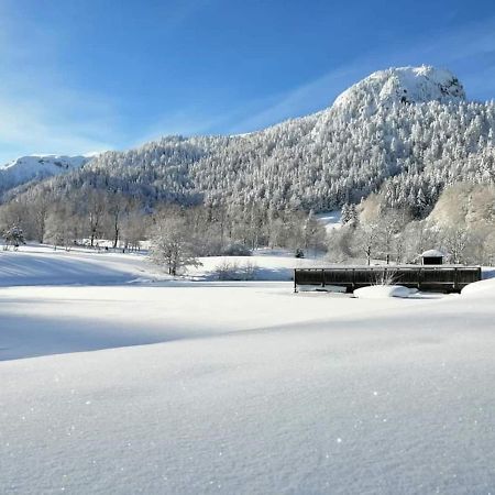 Chalet Des Cascades Le Mont-Dore Esterno foto