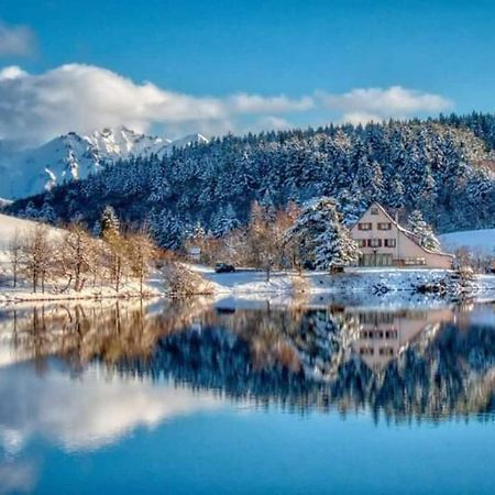 Chalet Des Cascades Le Mont-Dore Esterno foto