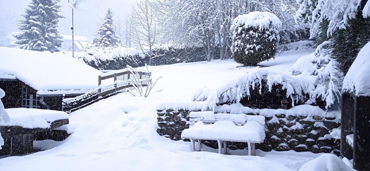 Chalet Des Cascades Le Mont-Dore Esterno foto