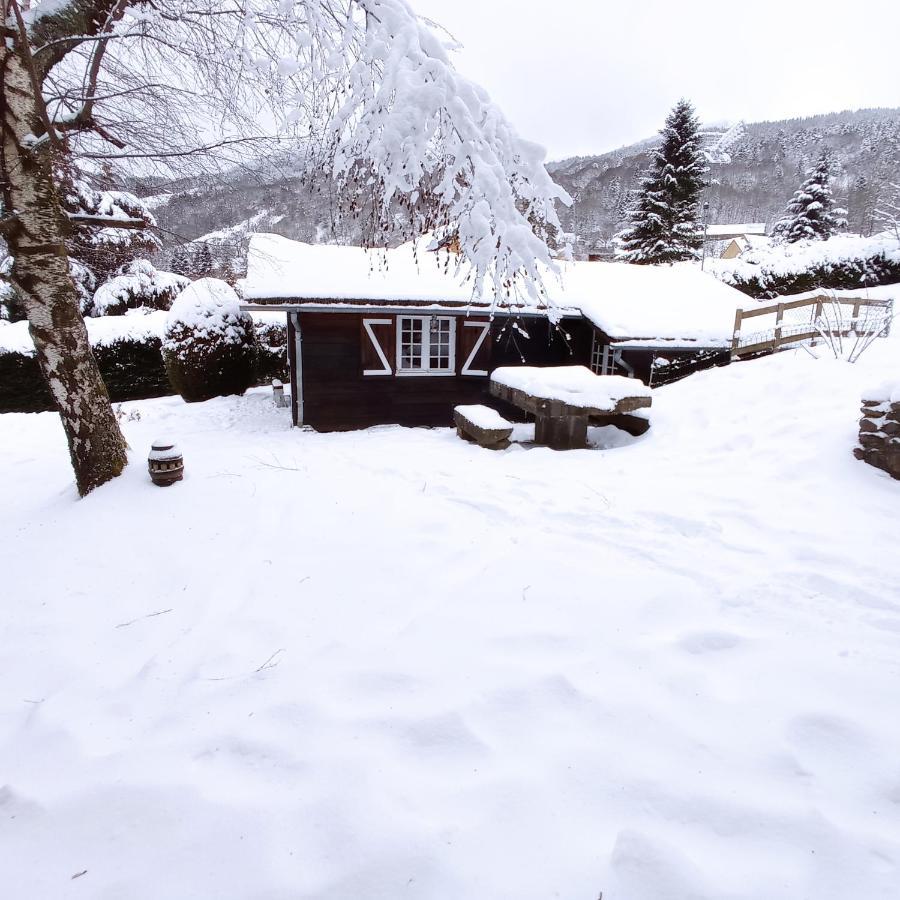 Chalet Des Cascades Le Mont-Dore Esterno foto