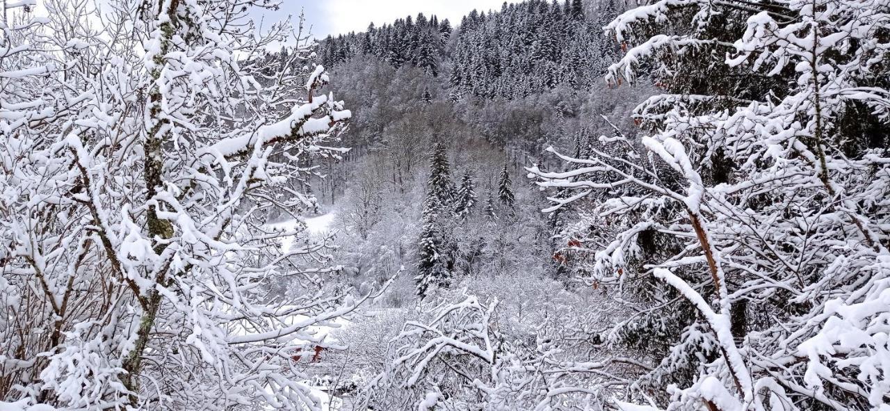 Chalet Des Cascades Le Mont-Dore Esterno foto