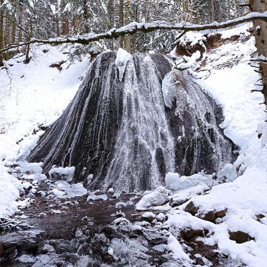 Chalet Des Cascades Le Mont-Dore Esterno foto